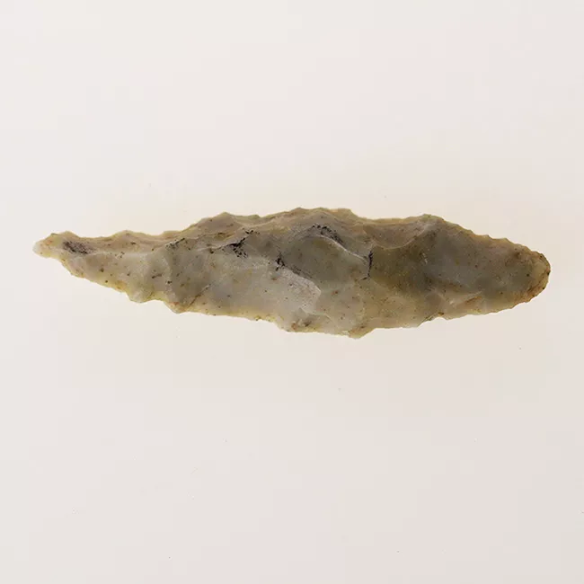 Perforador