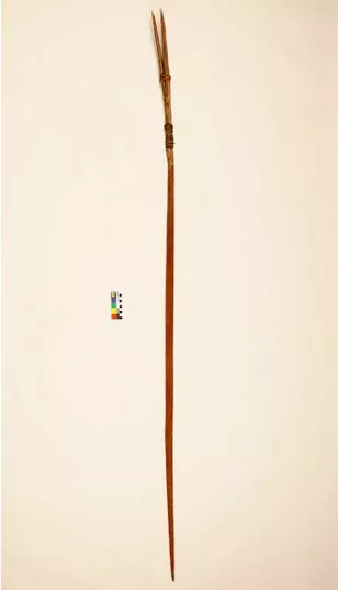 Arpón