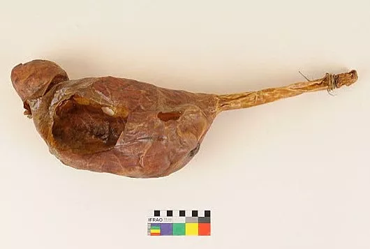 Bolsa (contenedor)