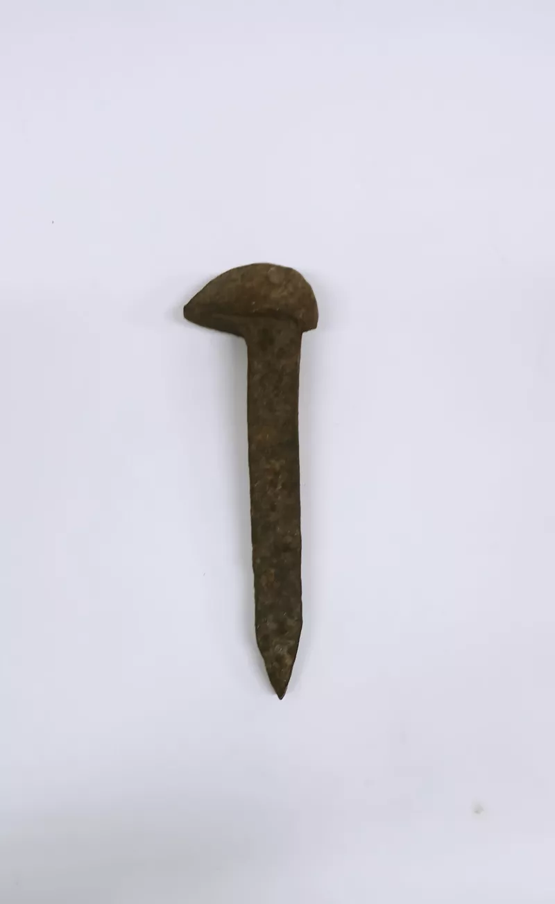 Clavo (sujeción)