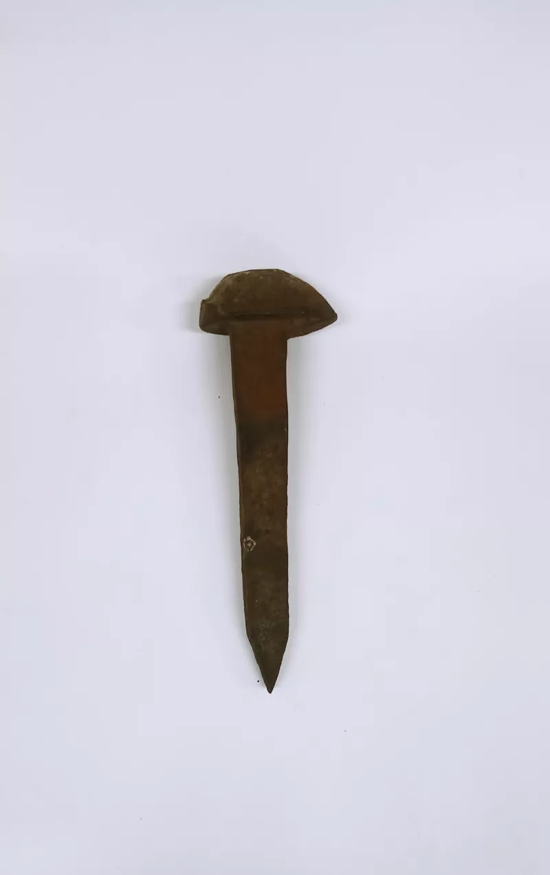 Clavo (sujeción)