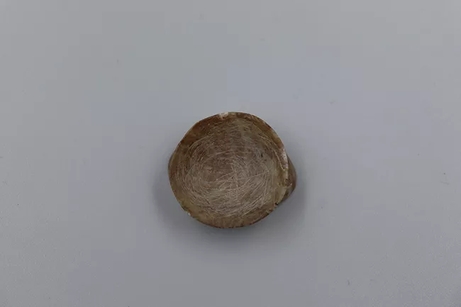 Tembetá