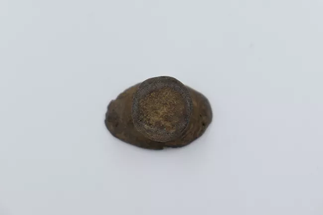 Tembetá