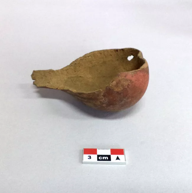 Calabaza