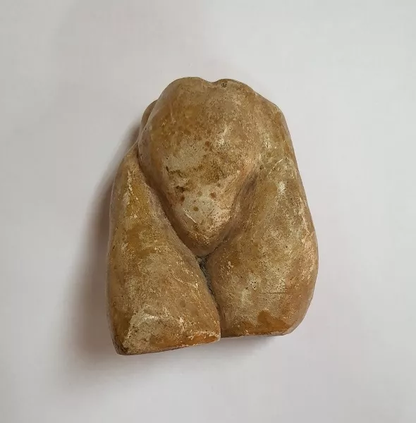 Torso femenino