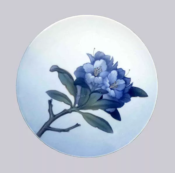 Rododendros
