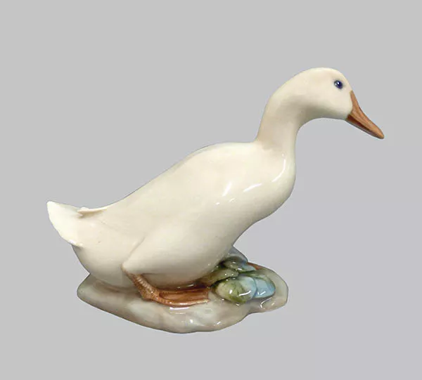 Pato