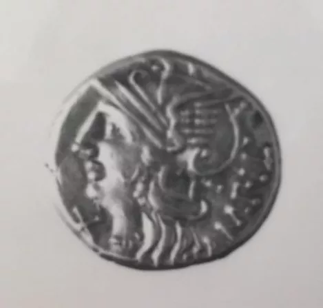 Baebia