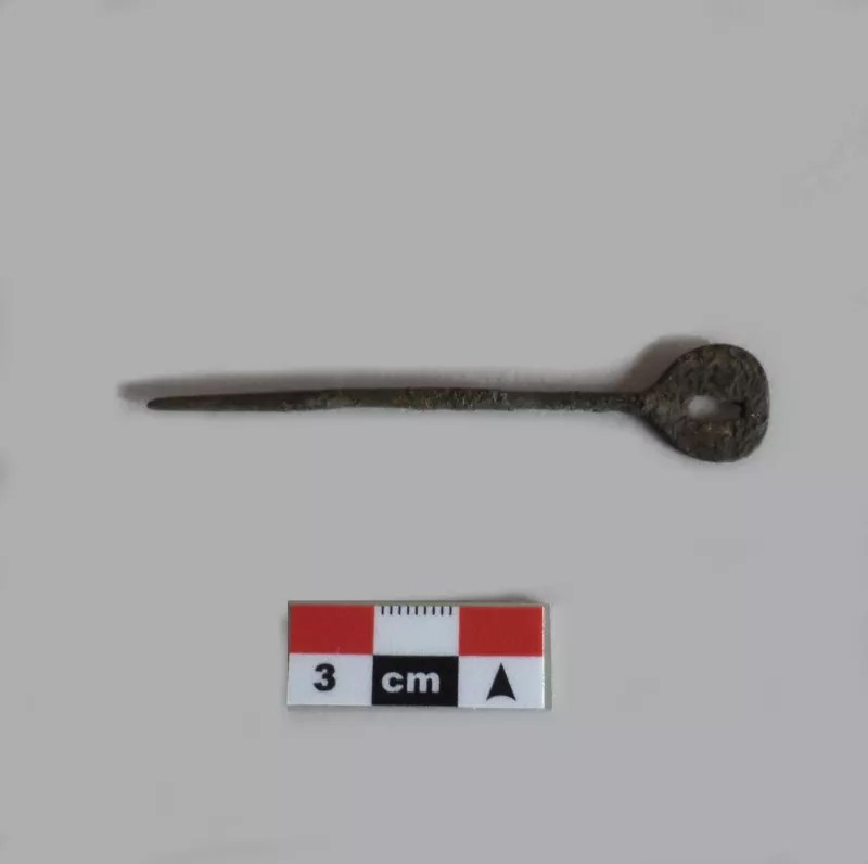 Tupu