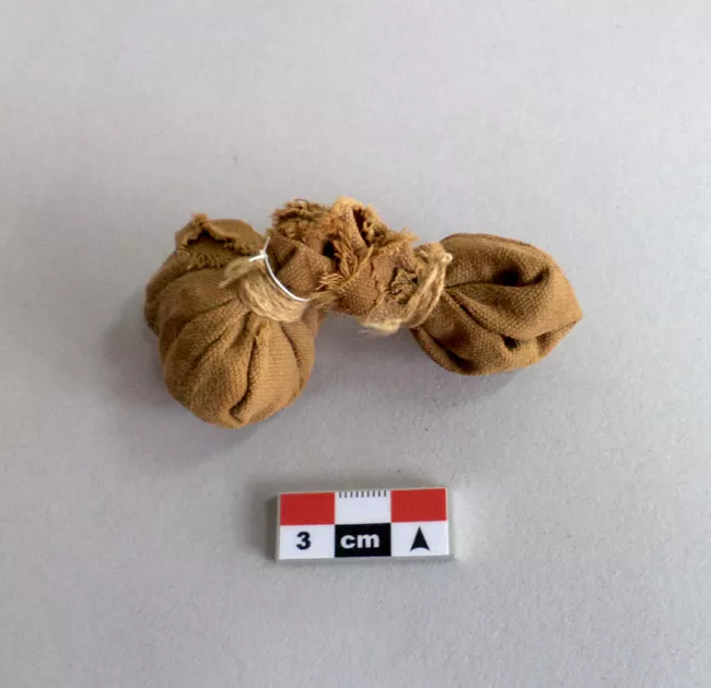 Bolsa (contenedor)