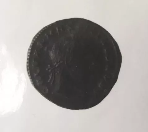 FOLLIS