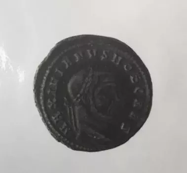 FOLLIS