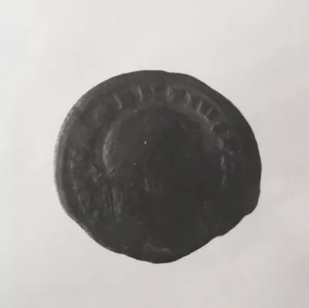 FOLLIS