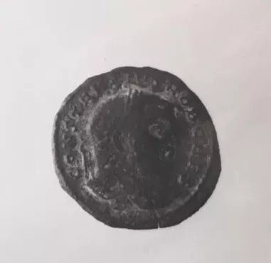 FOLLIS