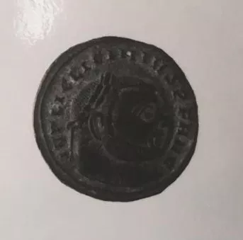 1/2 FOLLIS
