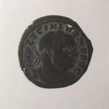 1/2 FOLLIS