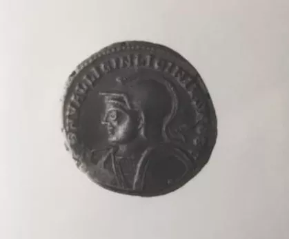 1/2 FOLLIS