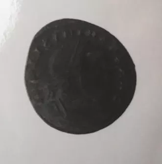 1/2 FOLLIS