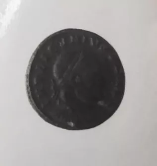 1/2 FOLLIS