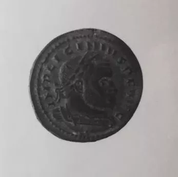 1/2 FOLLIS