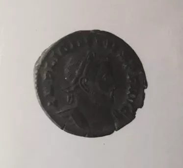 1/2 FOLLIS