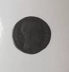 1/4 FOLLIS