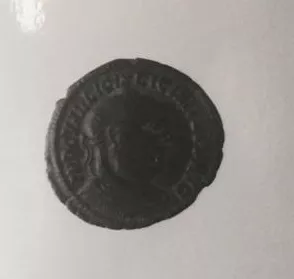 1/2 FOLLIS