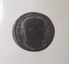 FOLLIS