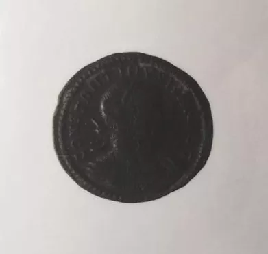 1/2 FOLLIS