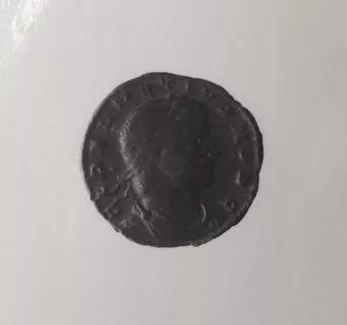 1/2 FOLLIS