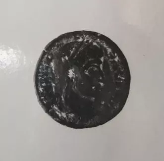 FOLLIS