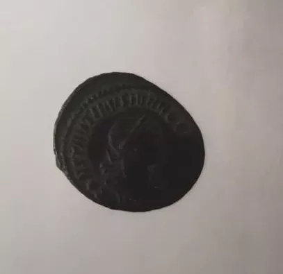 1/2 FOLLIS