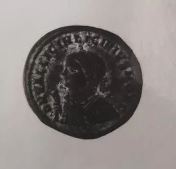 1/2 FOLLIS