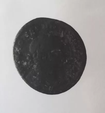 FOLLIS