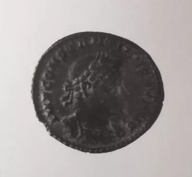 FOLLIS