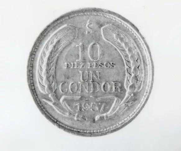 Un cóndor