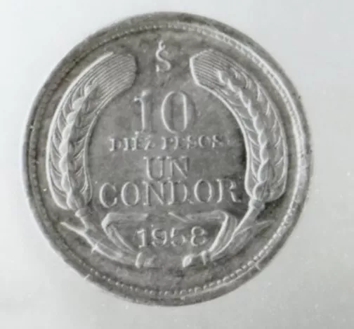 Un cóndor