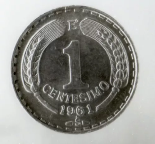 Un cóndor