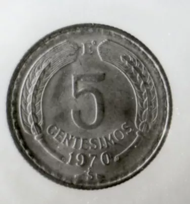 Cinco cóndores