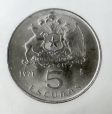 Cinco escudos