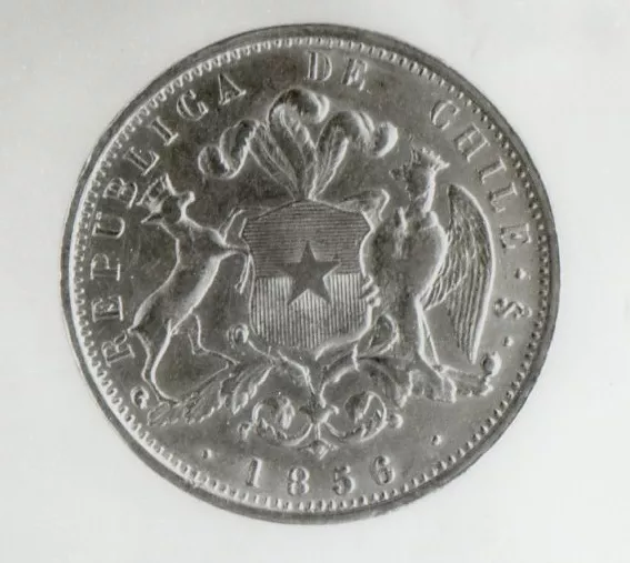 Cóndor