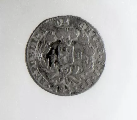 Blanquillo