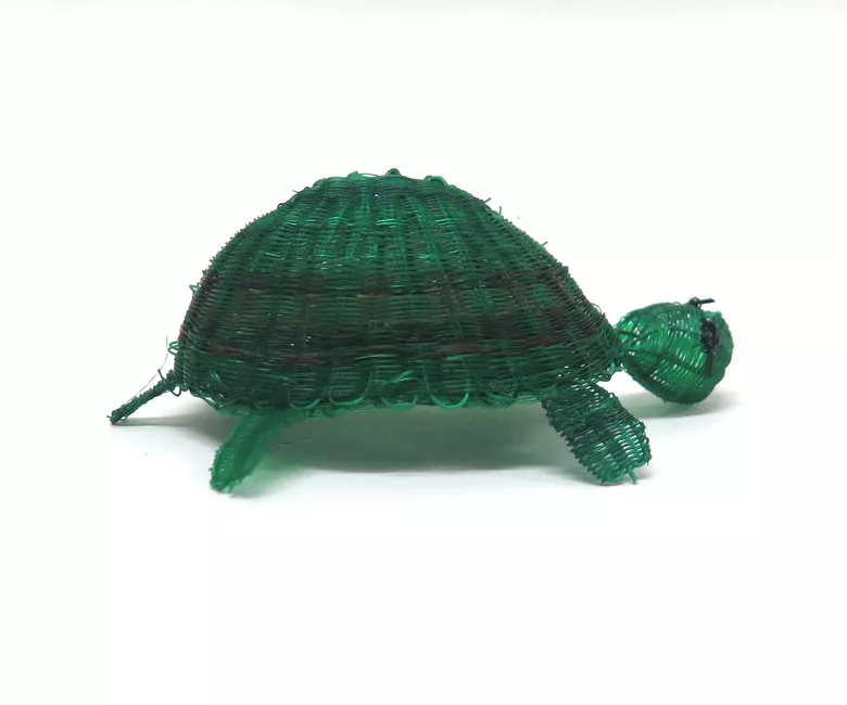 Tortuga