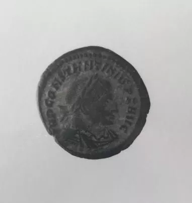 FOLLIS