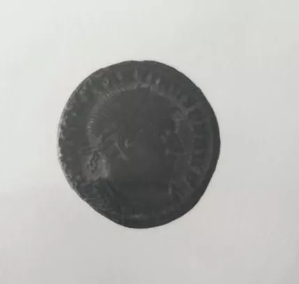 FOLLIS