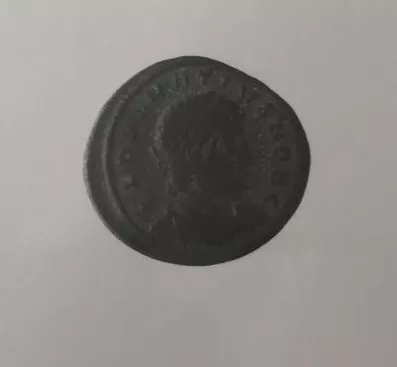 1/2 FOLLIS
