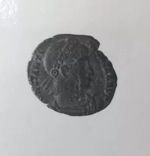 1/2 FOLLIS