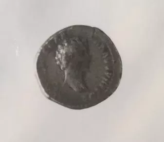 DENARIO