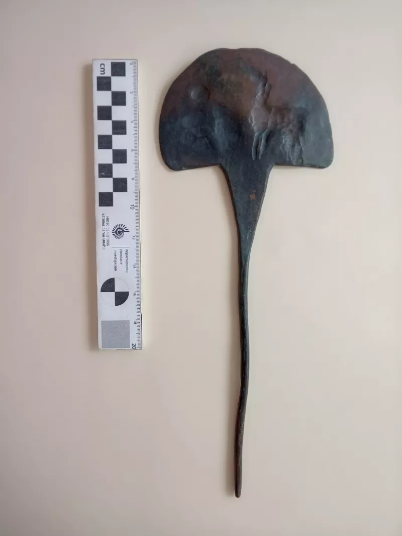 Tupu