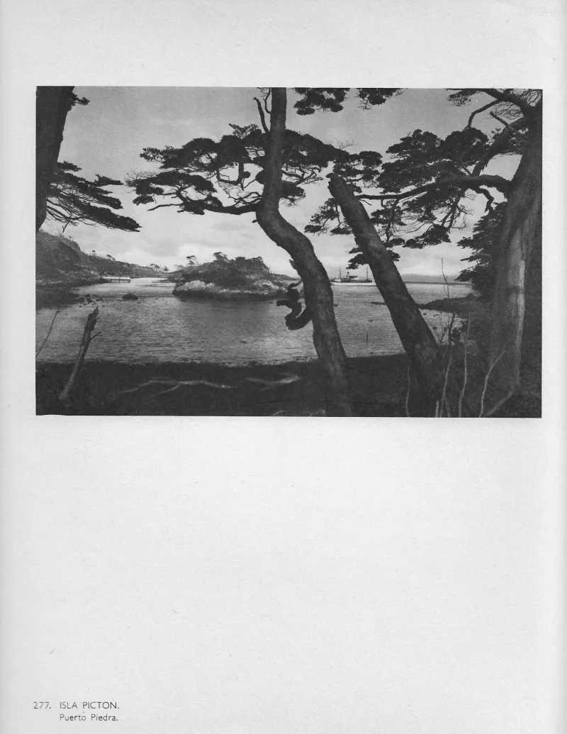 Isla Bertrand. Isla Australes. Tierra del Fuego. 